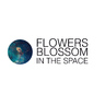 Flowers Blossom In The Space