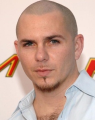 Pitbull