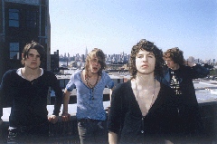 The Kooks