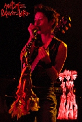 Anatomie Bousculaire