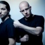 Infected Mushroom