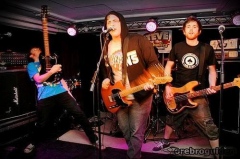 Steve and the Alcoholics