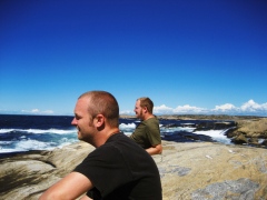 Carbon Based Lifeforms