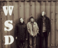 Секта Феникса