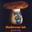 Mushroom Lab