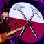 The Australian Pink Floyd Show