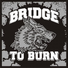 Bridge To Burn