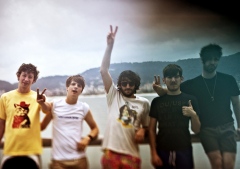 Foals