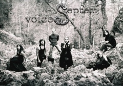 Septem Voices