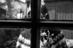 Stefkovic van Interesse