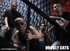 Drugly Cats