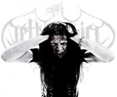 Netherbird
