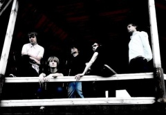 Осень моей жизни