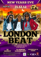 Встреча Нового 2013 года