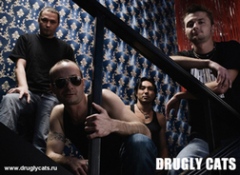 Drugly Cats