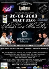 Чёрная кошка и Белый пёс встречают Новый Год по Китайскому календарю на Виру