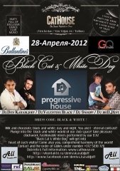 Чёрная Кошка, Белый Пёс и Дух Таллинна / BLACK CAT & WHITE DOG - Spring 2 Edition