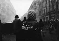 The Fight  | Jungbluth