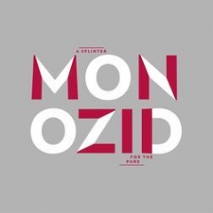 MONOZID (post-punk/germany)