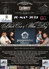 Чёрная Кошка и Белый Пёс по-Майски на Виру