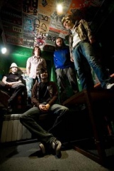 Пойманные Муравьеды