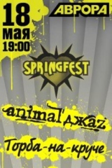 Весенний рок-фестиваль Springfest